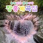 장흥계곡집