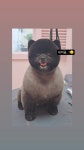 그루머엔제이