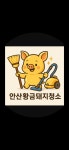 안산황금돼지청소