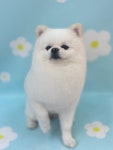 이쁘개