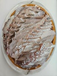 싱싱회센타