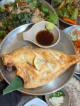 베테랑 삼촌카세