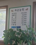 죽순농원