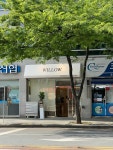 윌로우