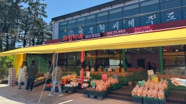 과일이네 애조로점
