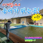 죠스송어낚시터당일피크닉