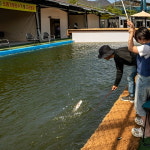 죠스송어낚시터당일피크닉