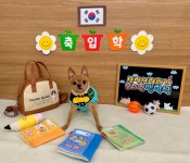살랑살랑하개