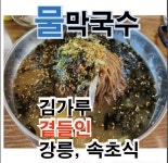 홍굴대왕칼국수