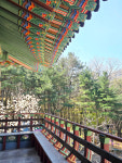도솔