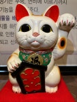약손정통관리샵