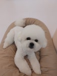 유별난 가위