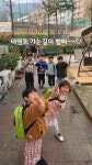 경희대올림픽태권도