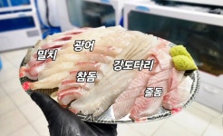 여수 활어티비 회포장 이순신광장 본점