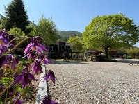 나무이야기 펜션 리솜 포레스트