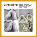 골드핸즈 명품세탁,밑창보강,복원