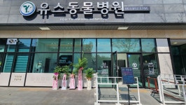 유스동물병원