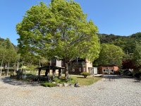 나무이야기 펜션 리솜 포레스트