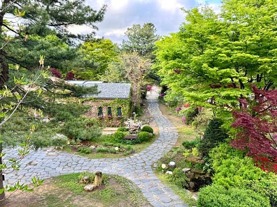 카페 헤세 사진