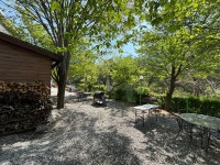 나무이야기 펜션 리솜 포레스트