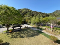 나무이야기 펜션 리솜 포레스트