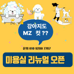 프렌즈도그미용실 광주서구점