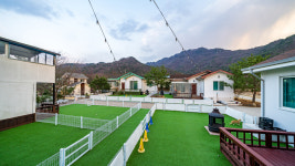 단양 댕댕이 애견펜션