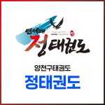 연세대정태권도