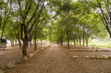 은빛물결캠핑장