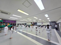 수양 소나무향기 태권도