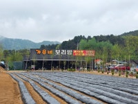 가은네보리밥 칼국수