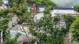 소동재스파펜션