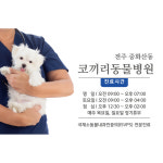 코끼리동물병원