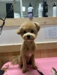 멍멍1길 23