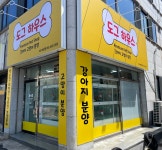 대구강아지 대구고양이 도그하우스대구점