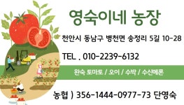 영숙이네농장
