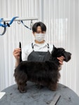 퍼피팸퍼