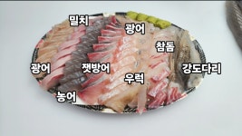 여수 활어티비 회포장