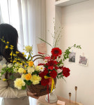 오델드플레르