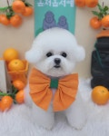 꿀멍꿀멍