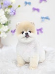 멍데이즈
