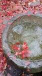 불곡산장
