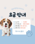 펫택시 타시개
