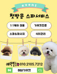 에바가위컷전문점