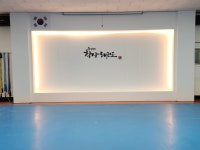 용인대학사태권도