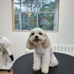 댕스베리