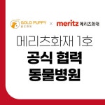골드퍼피동물병원 공릉점