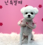 펫코스