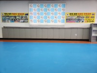 용인대학사태권도