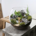 반포꽃집 나무수플라워앤가든